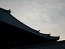 P1030928.jpg